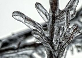 Parametry przechowywania produktów w warunkach chłodniczych